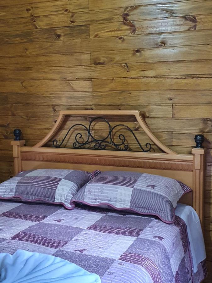 Sitio Recanto Feliz Gramado Kültér fotó