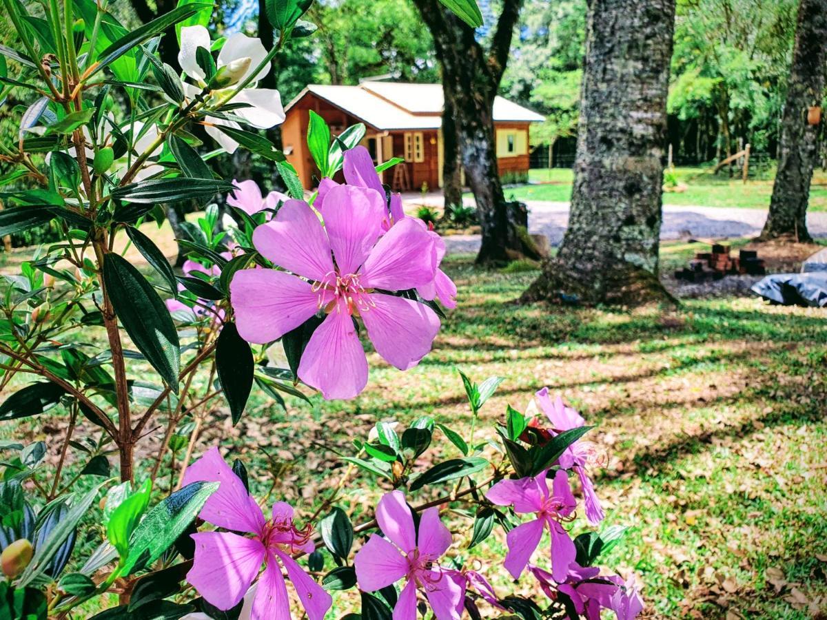 Sitio Recanto Feliz Gramado Kültér fotó