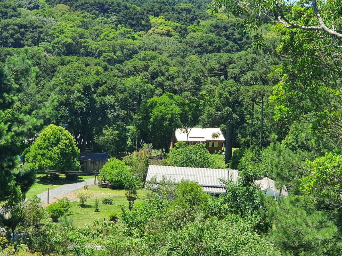 Sitio Recanto Feliz Gramado Kültér fotó